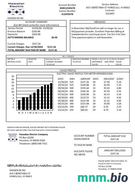 USA Hawaiian Electric rachunek za usługi komunalne szablon w formacie Word i PDF